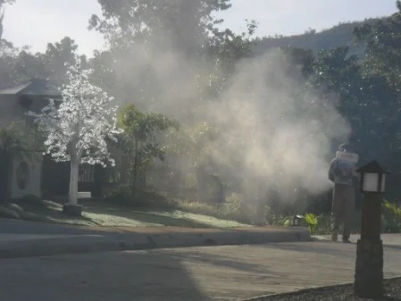 Fogging Mosquito Control