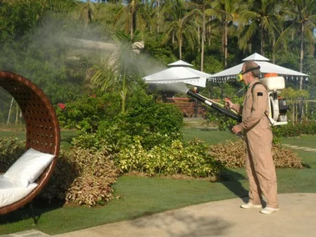 Fogging  Fly and mosquito Control
