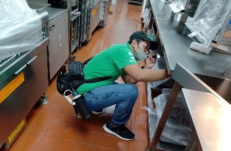 Commercial Kitchen Pest Inspection