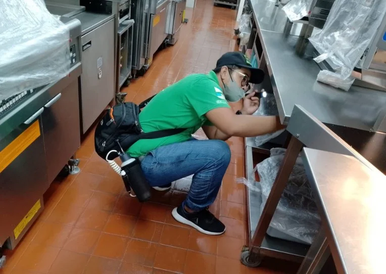 Pest Elimination Restaurant Pest Control img