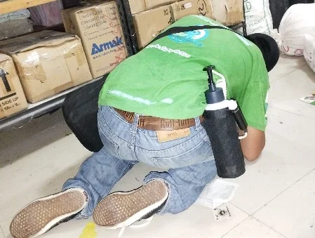 Technicial Doing bodega Pest Management
