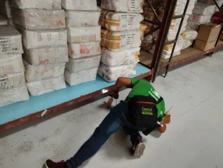 Technician Doing Warehouse Pest Control