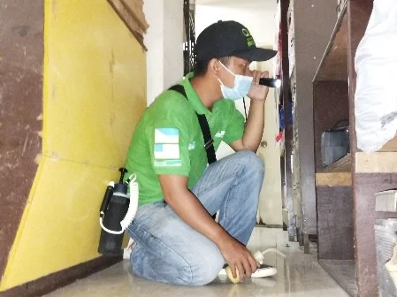 Bodega Pest Control
