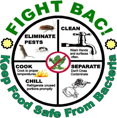 Fight Bac keep food safe from bacteria