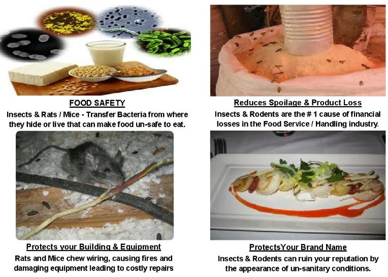More Than Just Killing Bugs img
