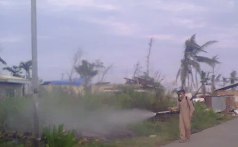 Mosquito Control after Yolanda
