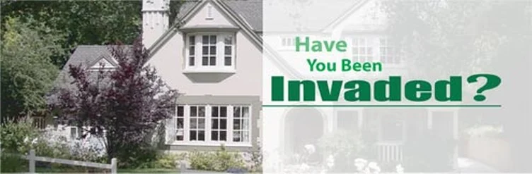 Residential Pest Control Is your home being invaded by bugs?