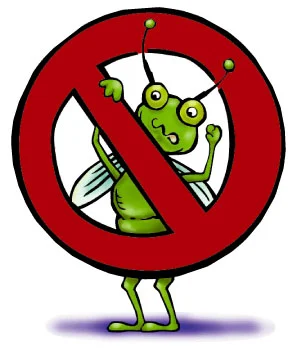 Kill Termites